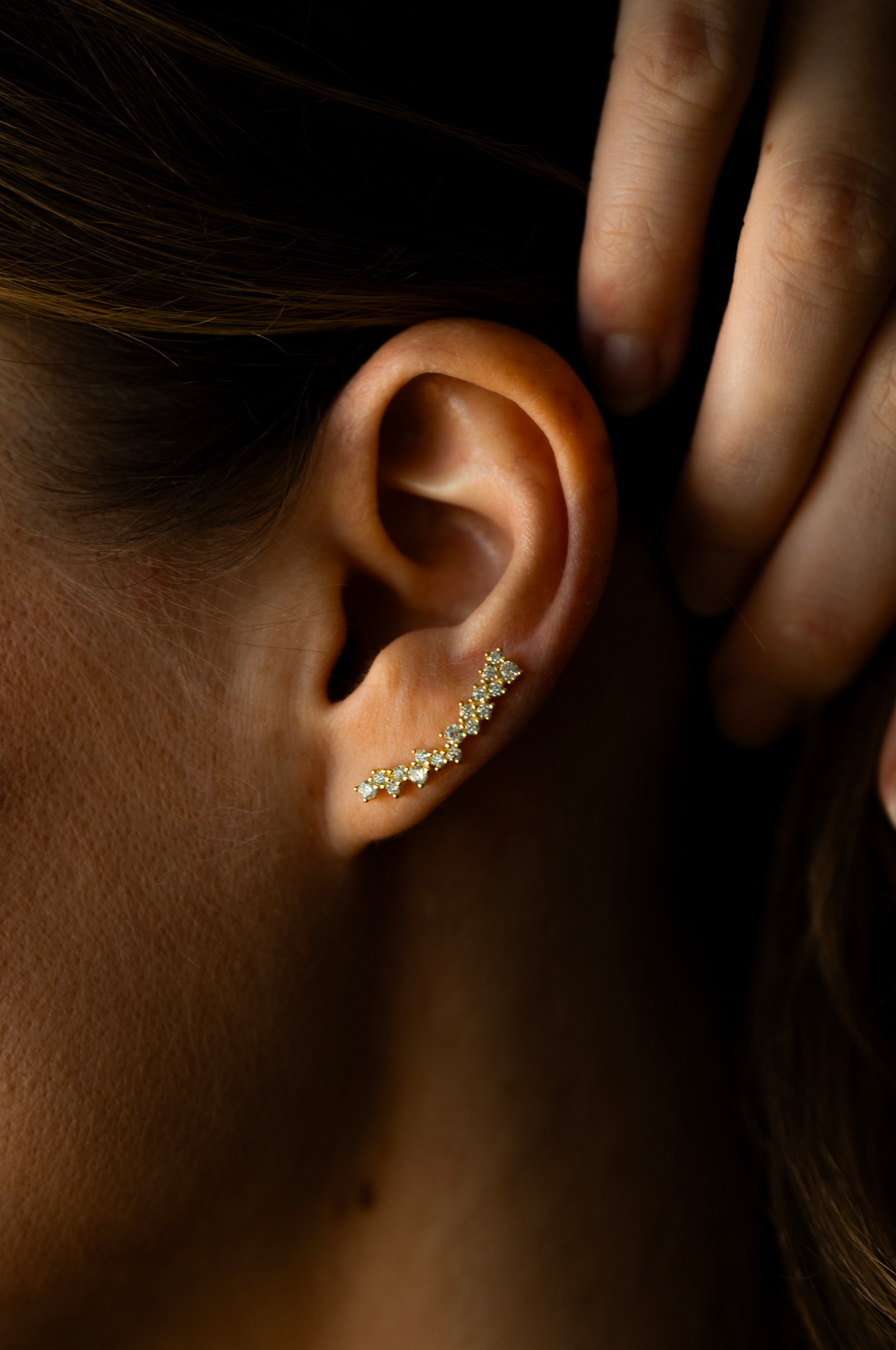 Sagittarius Climber Earrings