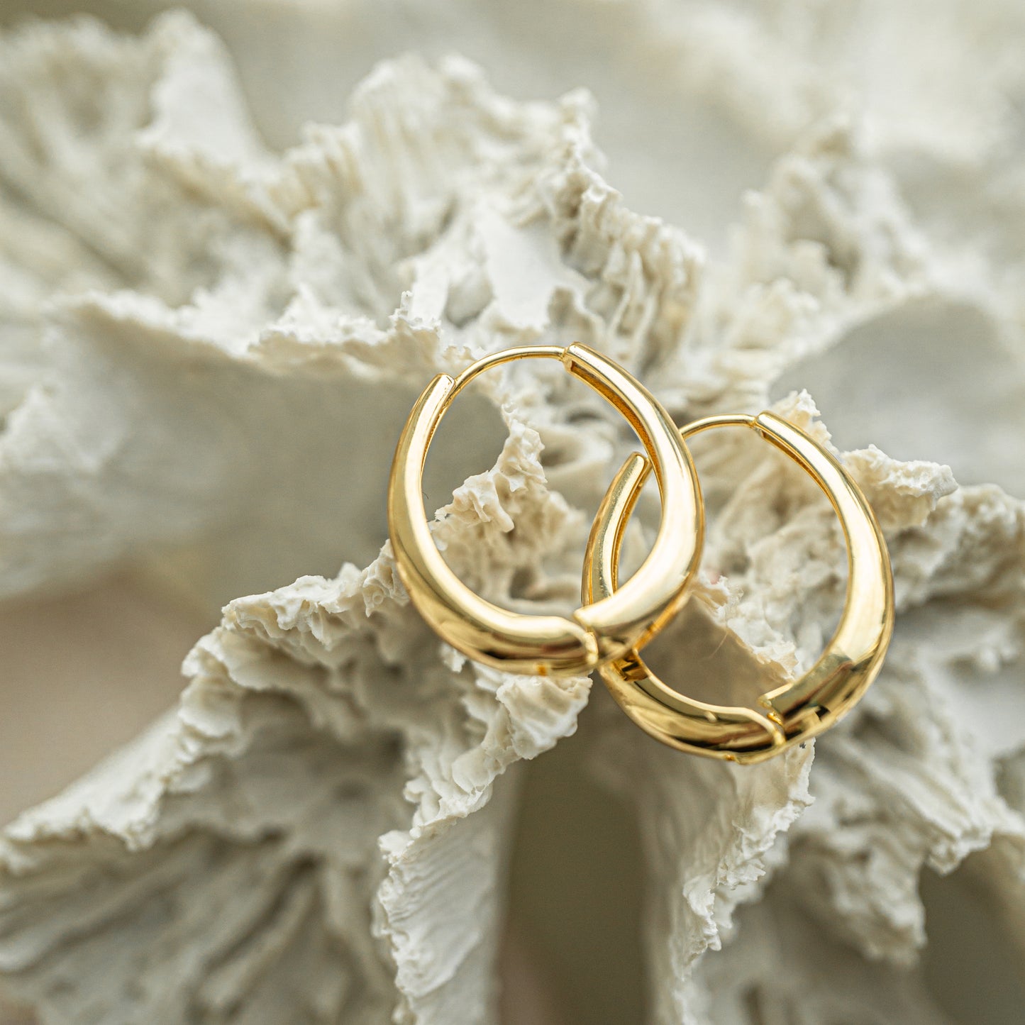 Gia 14K Hoops