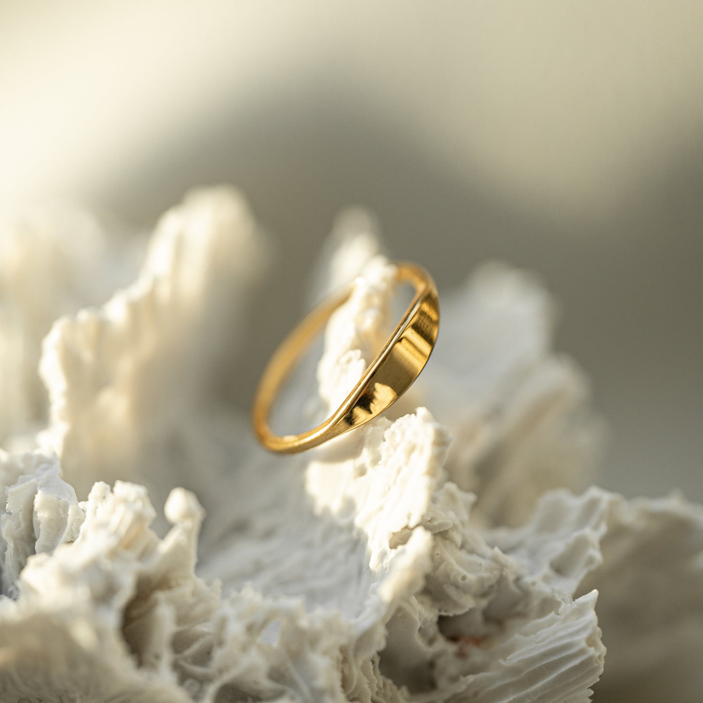 Arka 18K Ring