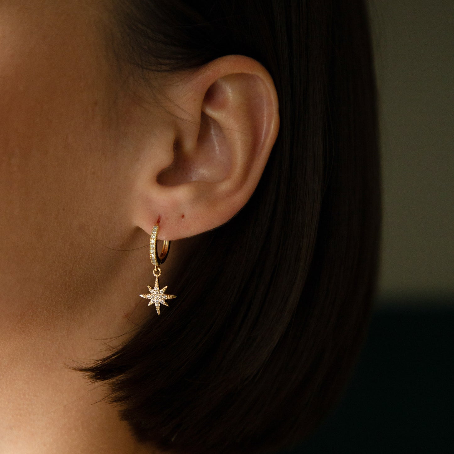 Night Sky 14K Earrings