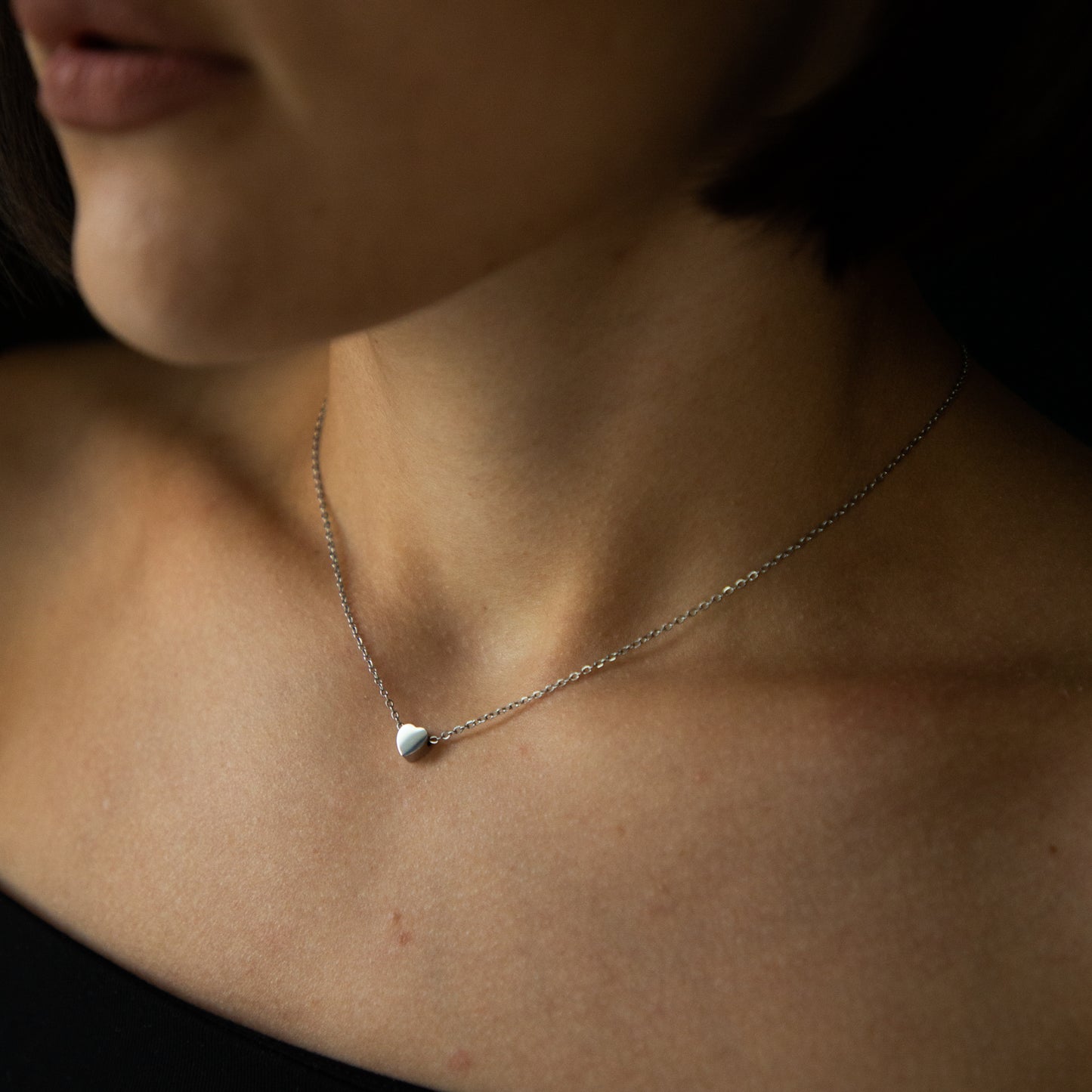 Monticoeur Silver Necklace