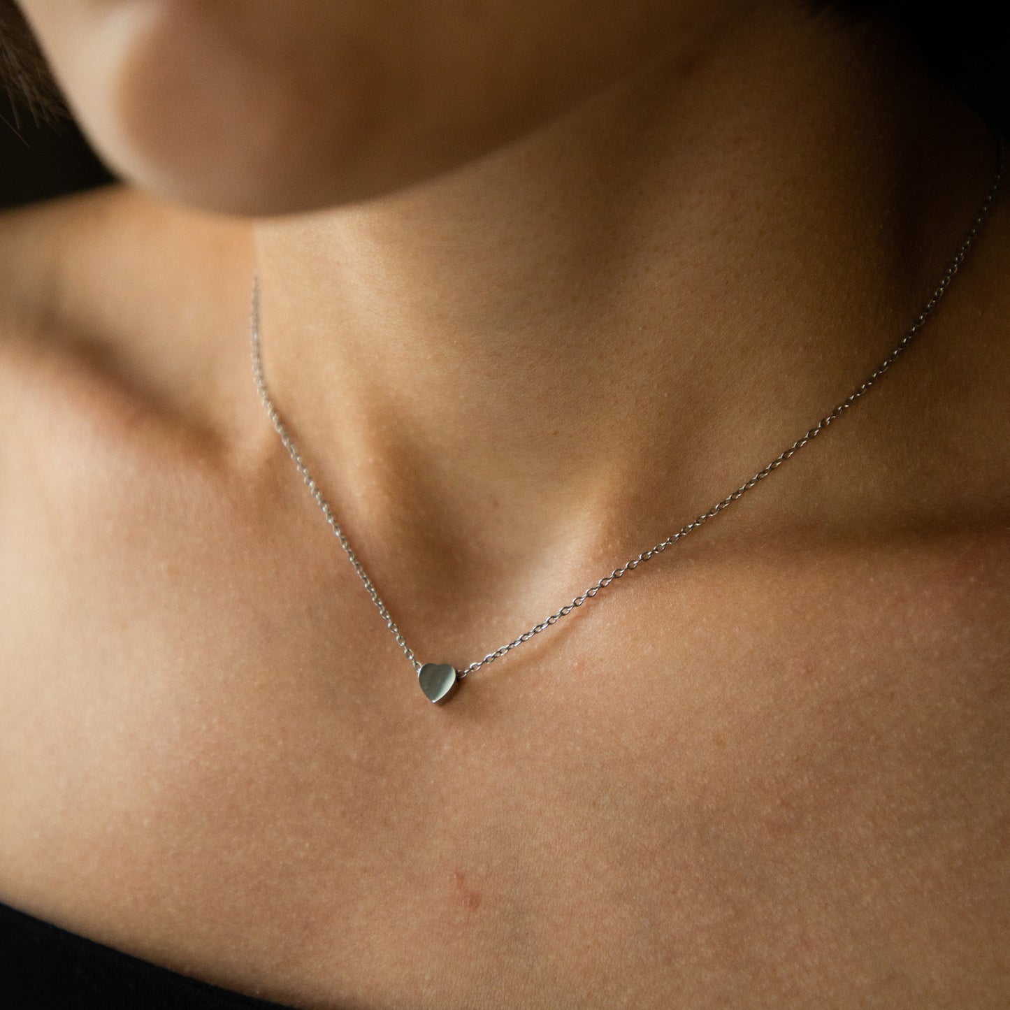 Monticoeur Silver Necklace