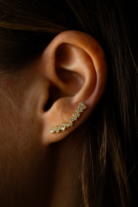 Sagittarius Climber Earrings